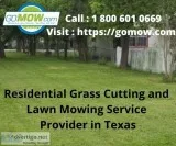 Residential Grass Cutting and Lawn Mowing Service Provider in Te