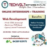 Best Final Year Internship  Students Internship  Techvolt Softwa