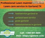 Professional Lawn maintenance and Lawn care service in GarlandTX