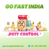 Go fast india- pest control service in india