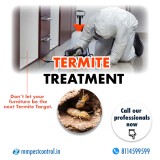 Mm pest control service in bihar, jharkhand (india)