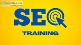 SEO Training in Delhi