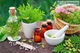 Find the Homeopathic Specialist in Port Orange