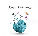 web design and logo design service in Delhi