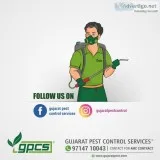 Gujarat pest control services - termite treatment, pest control