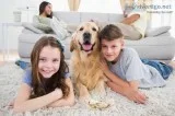 maid cleaning services bethesda md