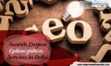 Search Engine Optimization Services in Delhi