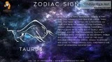 Best astrologer in indiranagar bangalore