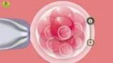 Best IVF Clinic in Thane - Ova Fertility and Women Care