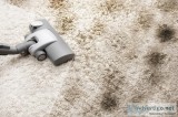 Carpet Cleaning Newtown