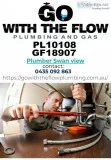 Plumber Swan view