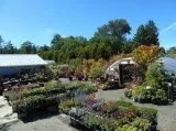Hire the best Professional landscape gardeners with New Dungenes