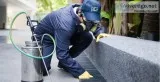 Termite Inspection Services  Qpms.com.au