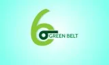 Six sigma green belt online training