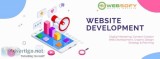 Web Designer in Lucknow - Websofy