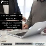 Data Science and Consulting Service Provider- New York