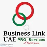 Outsource your pro services in dubai