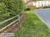 Lawn service landscaping