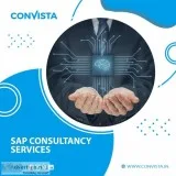 Best sap experts and SAP management consulting