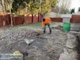 Yard cleanup