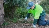 Lawn Mowing Services in Mildura
