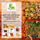Coco peat suppliers