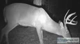 Wanted Deer and Turkey Hunters