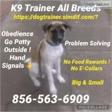 We control k9?s unruly issues 👍