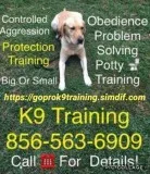 K9 control off the leash hand signals