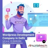 Wordpress Development Company in Delhi