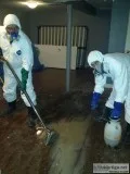 Best Water Damage Cleanup Services in Ontario  emergencyfloodser