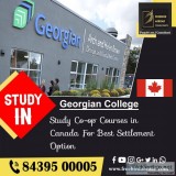 Overseas education consultants for canada