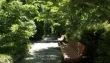 HUD Subsidized Senior Housing Verona NJ Area