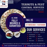 Best Pest control Service in Nagpur  Spick and Span Services