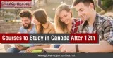 Top Courses to Study in Canada