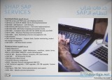 Shap - sap services partner