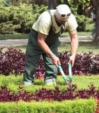 Landscaping and outdoor work