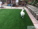 Artificial Grass for Dogs