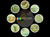 Carpet Cleaning Mundaring