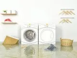 Water Damage Cleanup Littleton