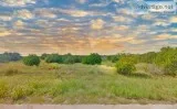 Come home to White Bluff - 1053 White Bluff Dr