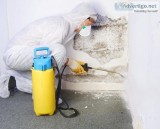 Mould Removal Brisbane