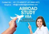 Have a dream to study overseas for higher education