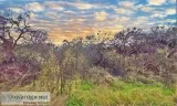 An exceptional opportunity in an extraordinary setting - 1344 Sa