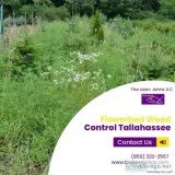 Are You Looking For Flowerbed Weed Control in Tallahassee Contac