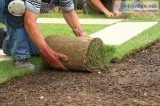 Are You Looking For Sod installationContact The Lawn Johns