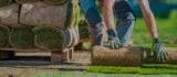 Get Flat 25% Off On Sod installation in Tallahassee