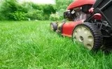 Get Flat 25% Off On Lawn Maintenance Service in Tallahassee