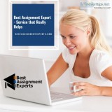 Assignment expert