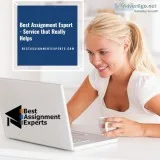Assignment expert